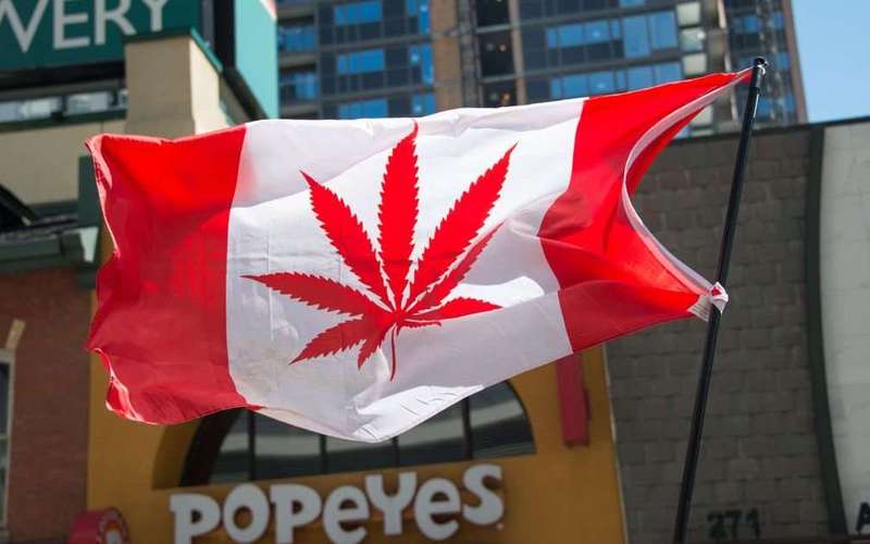 image for Toronto police to Canadians: stop snitching on your neighbors about marijuana
