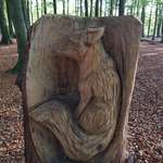 image for I found this carved fox inside a tree stump, in a forest close to my home.