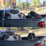 image for These two cuties in the drive-through at Starbucks!!