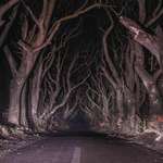 image for It's almost Halloween. I present to you the Dark Hedges in Northern Ireland.
