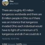 image for Five kangaroo bois