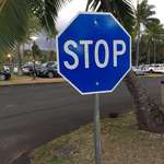 image for This blue stop sign