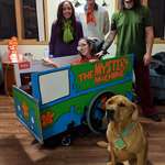image for My wife was in an accident about 2 months ago resulting in a severe brain injury. We thought we'd make the most of the situation! Zoinks!
