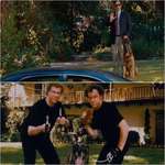 image for In Step Brothers, Dale and Brennan steal their blind neighbor’s seeing eye dog Cinnamon for a picture used in the slideshow during their Prestige Worldwide pitch.