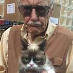 image for Stan Lee holding Grumpy Cat