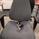 image for Tiny bean on a swivel chair