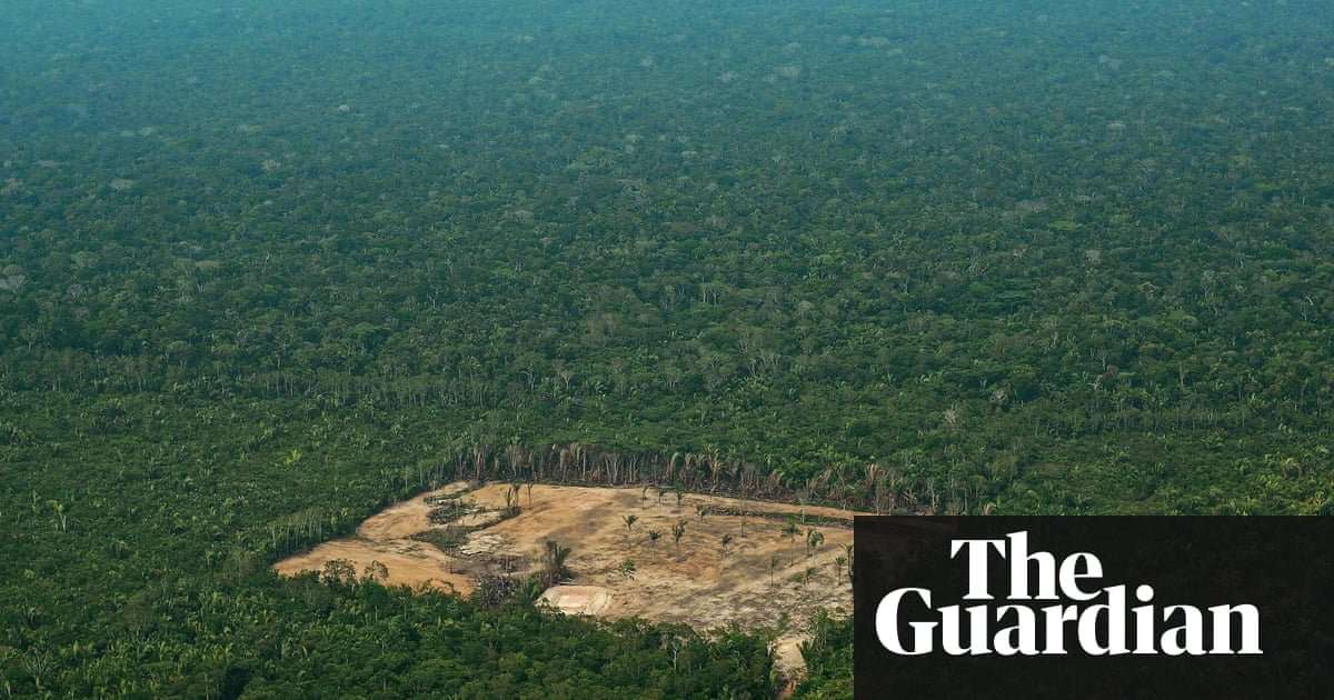 image for Amazon indigenous groups propose Mexico-sized 'corridor of life'