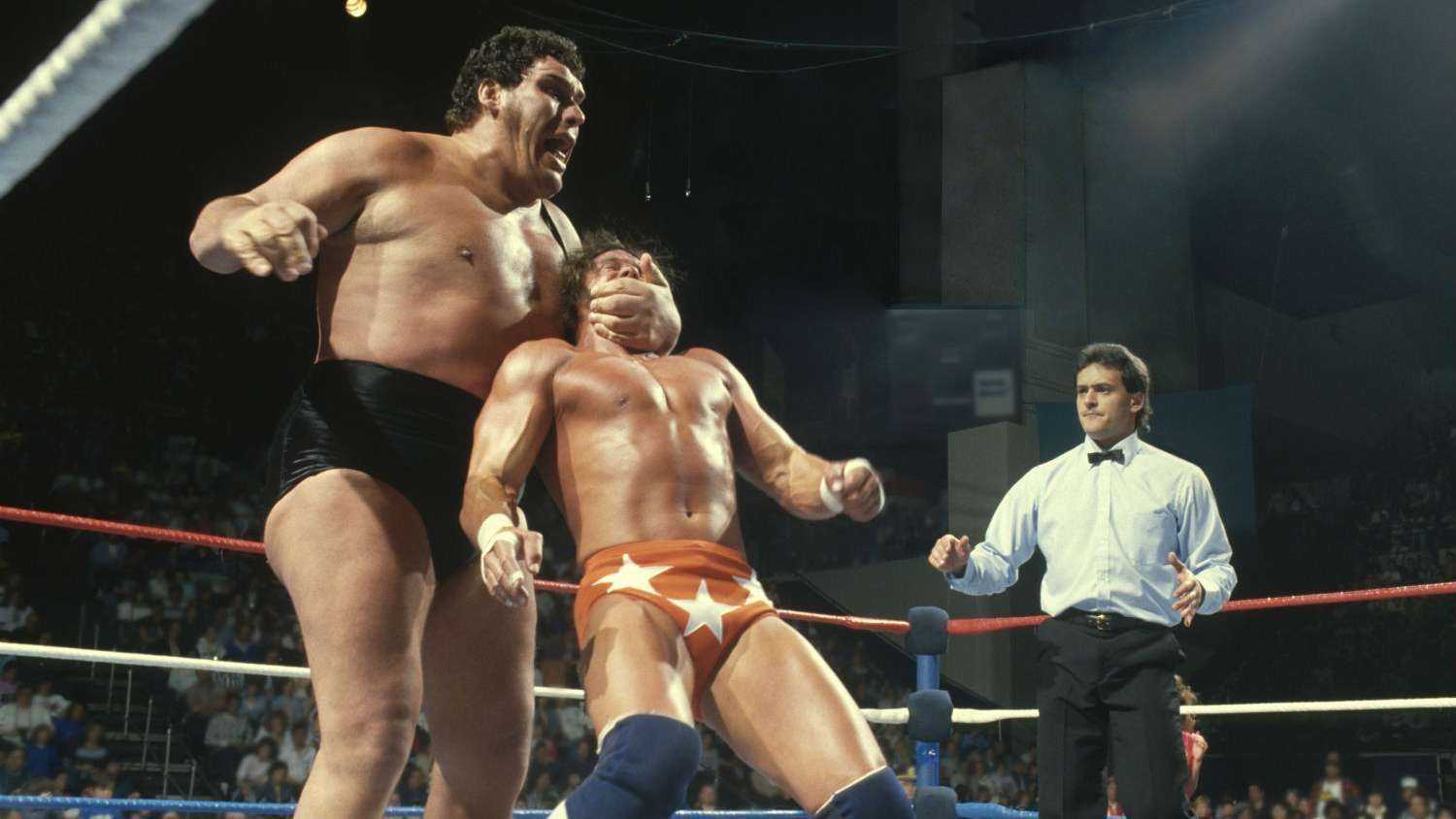 image for 10 Larger-Than-Life Facts About André the Giant