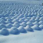 image for Snow in a cabbage field..