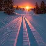 image for Snow tracks in the sunset.
