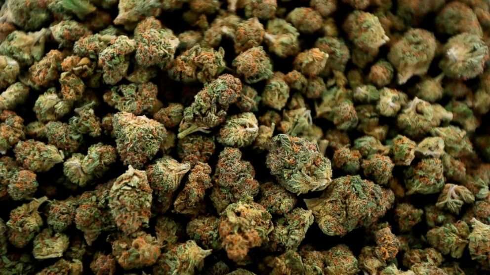 image for Michigan to be first Midwest state to allow recreational pot