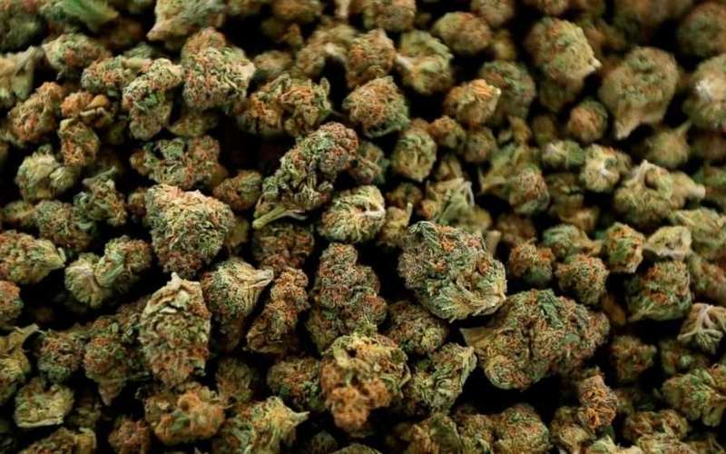 image for Michigan to be first Midwest state to allow recreational pot