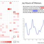 image for I tracked all of my cats meows for 24 hours [OC]