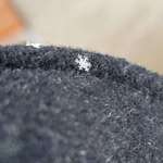 image for This perfect snowflake on my coat