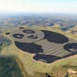 image for There’s a solar farm in China shaped like a Panda.