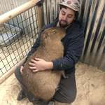image for I got to snuggle with a capybara