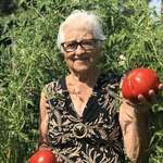 image for My Nonna wanted me to post this on the internet so that “everyone in Italy can see how big my Tomatoes have gotten”