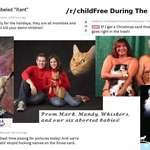 image for /r/childFree During The Holiday Season starter pack