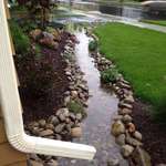 image for “Rainscaping”