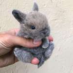 image for Tiny bunny