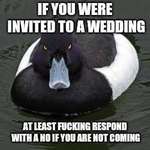 image for I had quite a few people do this for my wedding. I shouldn't have to chase you down for an answer....
