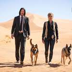 image for First image look at 'JOHN WICK: CHAPTER THREE'