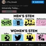 image for Top minds of T_D proving that the sub is a breeding ground for sexist and racist content