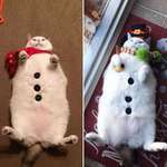 image for Look at me! I'm a snowman