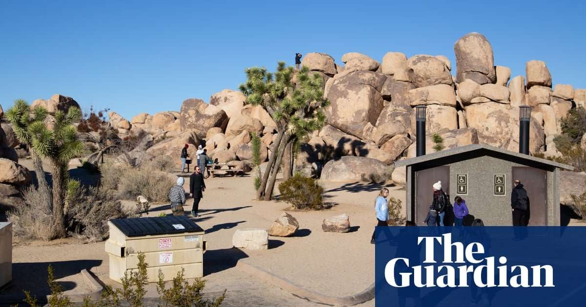 image for Joshua Tree national park announces closure after trees destroyed amid shutdown