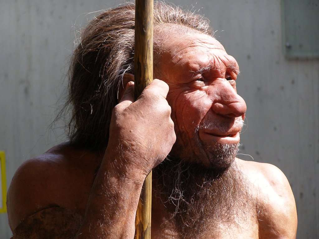 image for 20 Things You Didn't Know About... Neanderthals