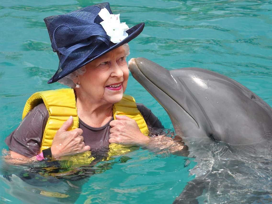 image for Queen Elizabeth II owns every dolphin in Britain and doesn't need a driving license â here are the incredible powers you didn't know the monarchy has