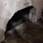 image for Found a hole behind some shelves at work that leads to underground tunnels.