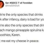 image for Damnit Karen!