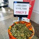 image for Took this photo outside the baggage claim at the Cusco airport in Peru (altitude 11,152 ft). Chewing coca leaves is legal in Peru and is widely encouraged for tourists to prevent altitude sickness.