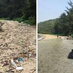 image for Here's my contribution to #trashtag. My (large) family and I cleaned up this beach we camped near over the summer!