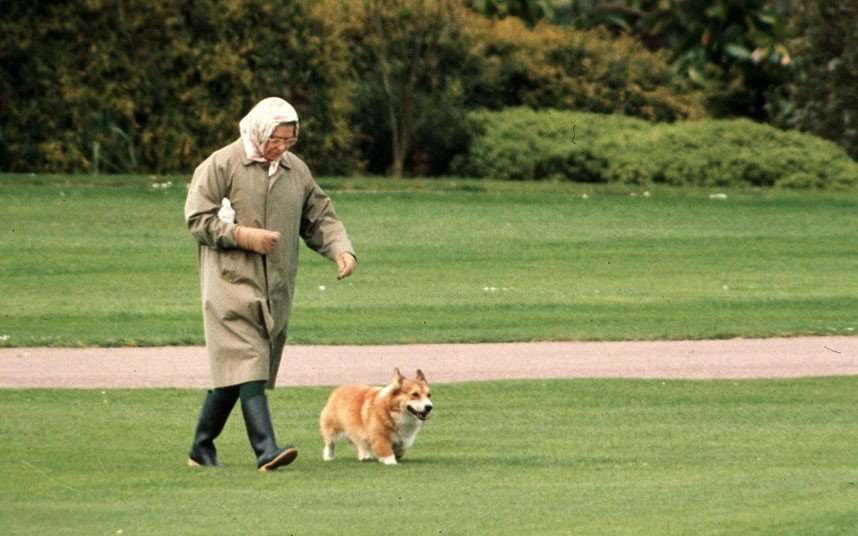 image for Queen stops breeding corgis as 'she doesn't want to leave any behind'