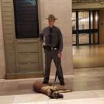 image for Saw this pupper all tuckered out from doing his job at Grand Central Station in NYC