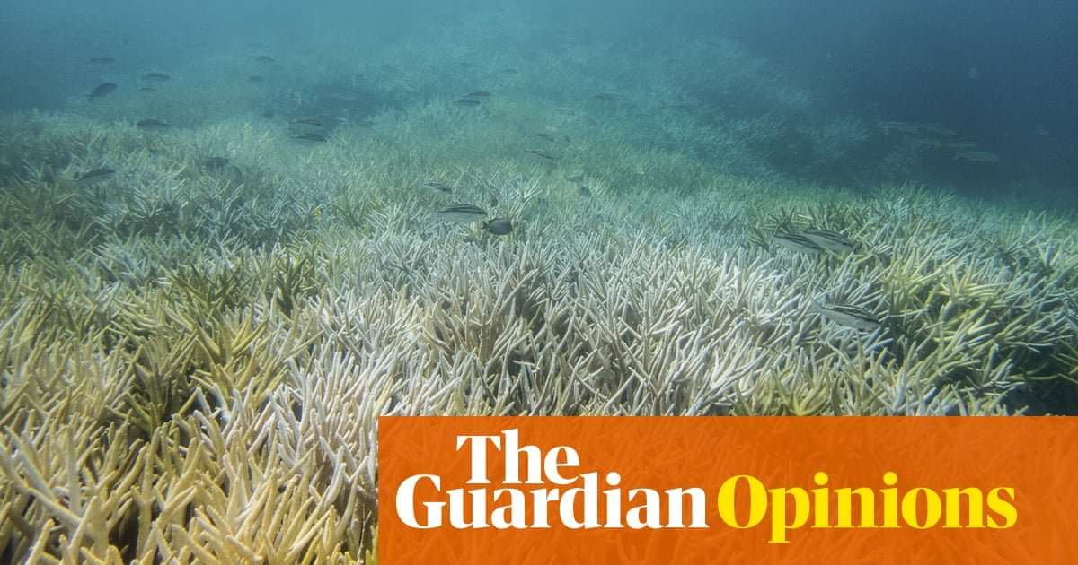 image for Our oceans broke heat records in 2018 and the consequences are catastrophic