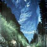 image for The 1980 eruption of Mt St. Helens