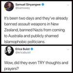 image for Why'd they go and politicize a tragedy?