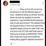image for Woman wants zookeepers to jerk off elephants
