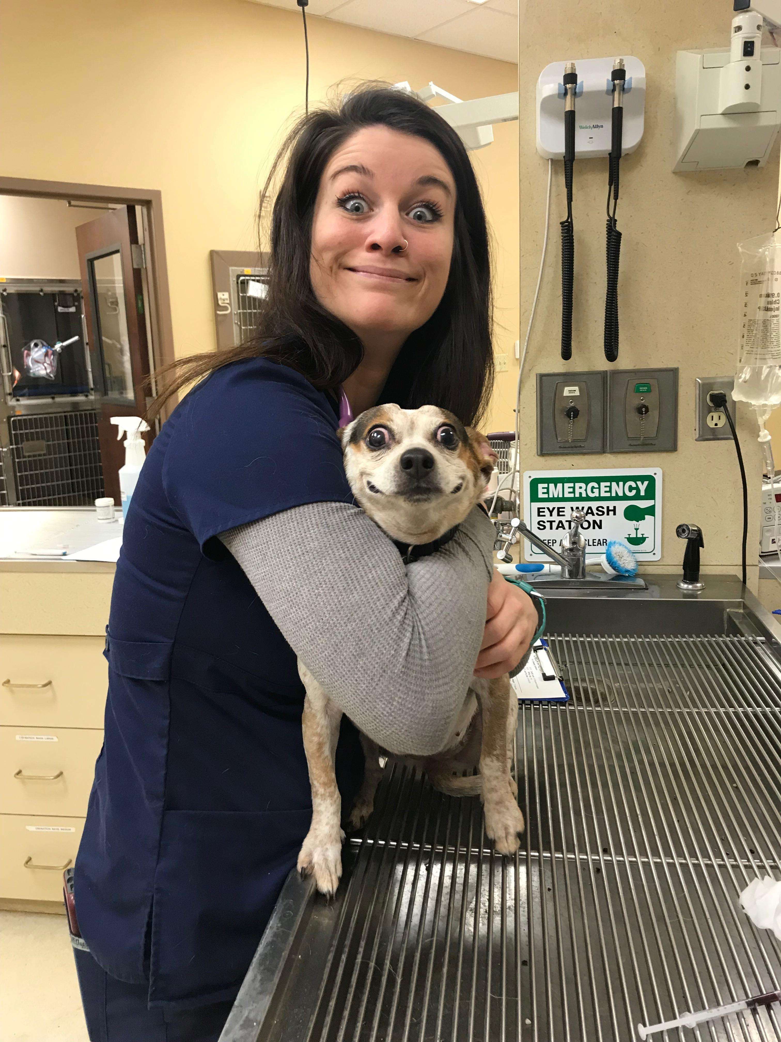 image showing Shocked pupper is so shocked!! ðŸ˜± Ft my equally shocked coworker Katie.