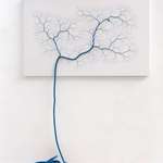image for An unraveled rope