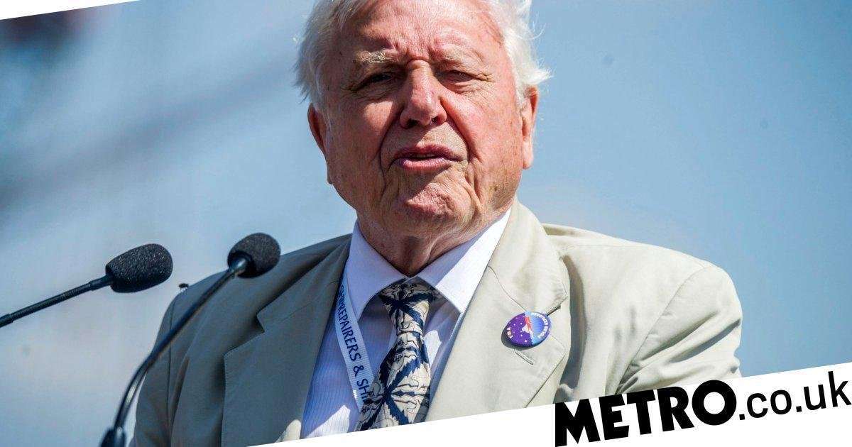 image for David Attenborough warns of ‘catastrophic future’ in climate change documentary