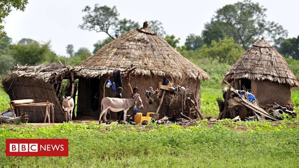 image for Mali attack: 'More than 100' Fulani villagers killed
