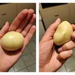 image for The size of this garlic clove from my parents' garden