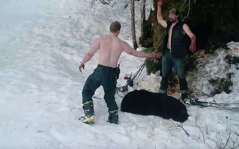 image for Video of Alaska father and son illegally killing bear, shrieking cubs made public