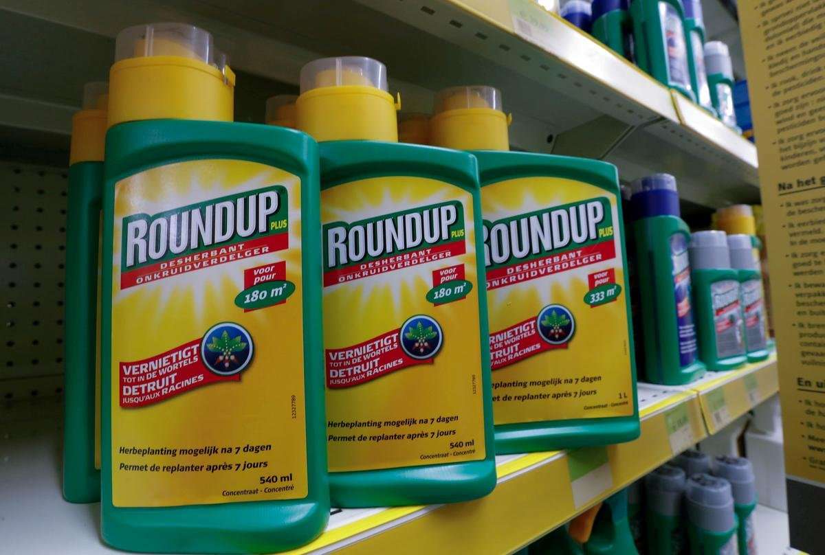 image for U.S. jury says Bayer must pay $80 million to man in Roundup cancer trial