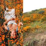 image for Instagrammers are ruining California's super bloom