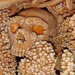 image for human skull, slowly being absorbed by the limestone